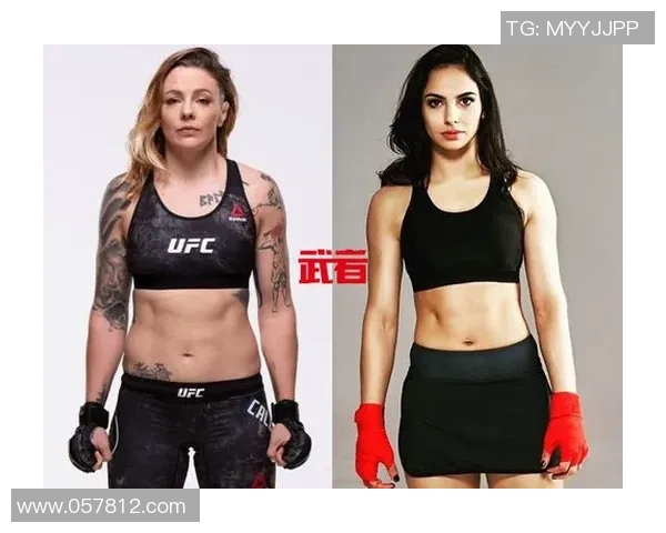 迪拉肖对决精彩回顾与分析揭示战术与技巧的较量